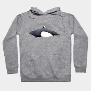 Dall´s porpoise Hoodie